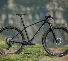 Orbea Alma 2021 model kopen en testen.jpg